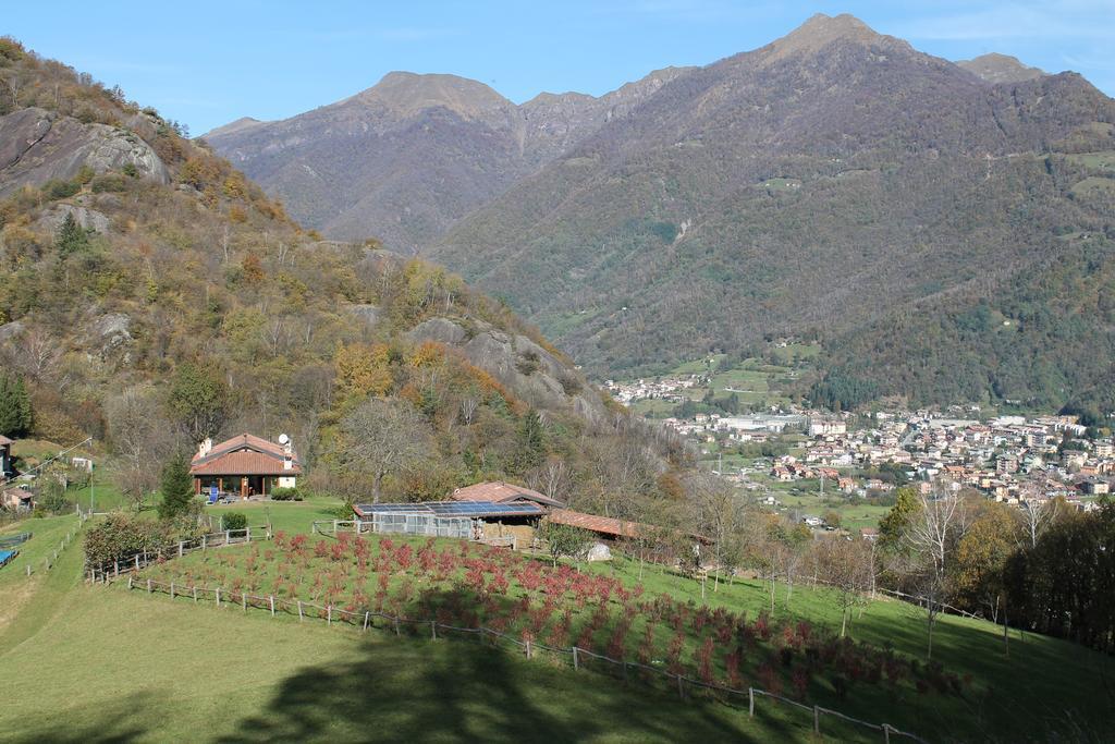 Agriturismo Il Mirtillo B,B Villa Pasturo ภายนอก รูปภาพ